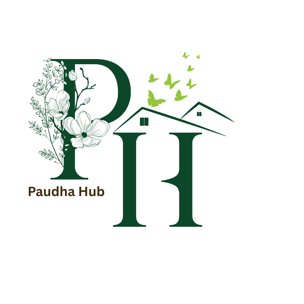 https://paudhahub.com/